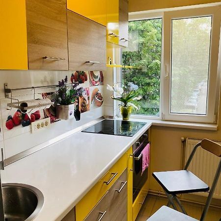City Center Apartment Temesvár Kültér fotó
