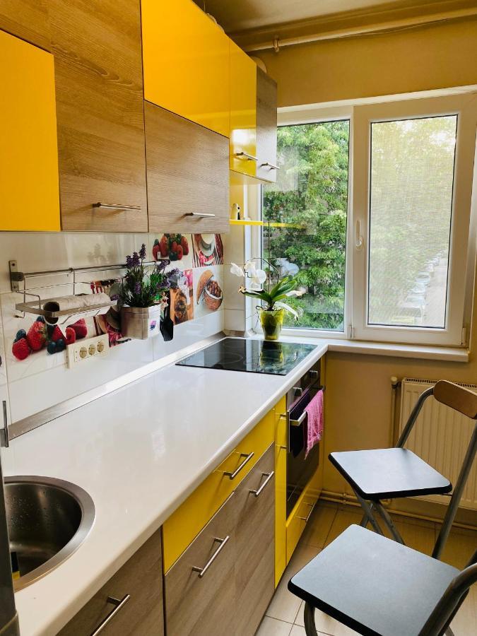 City Center Apartment Temesvár Kültér fotó