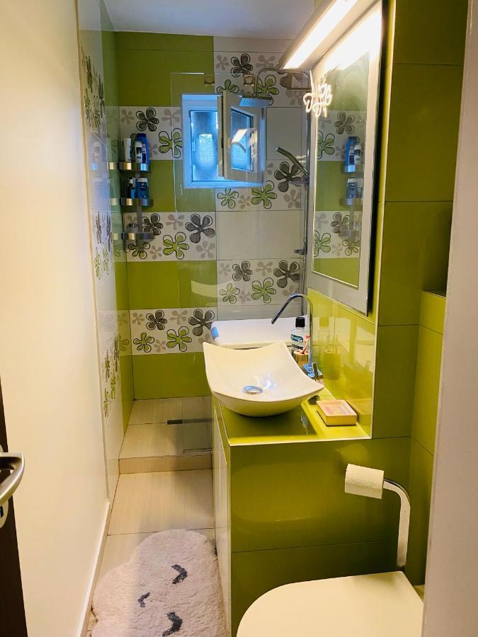 City Center Apartment Temesvár Kültér fotó
